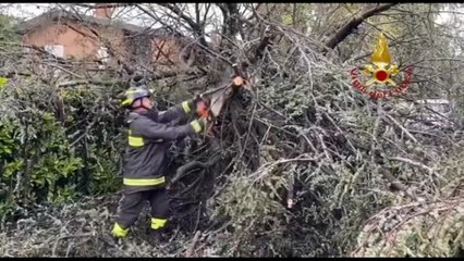 Maltempo, una donna muore schiacciata da un albero a Lissone