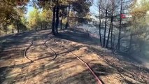 Kahramanmaraş'ta Orman Yangını: Havadan ve Karadan Müdahale Devam Ediyor