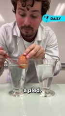 Un oeuf qui flotte dans l’eau est-il réellement un oeuf pas frais ? 