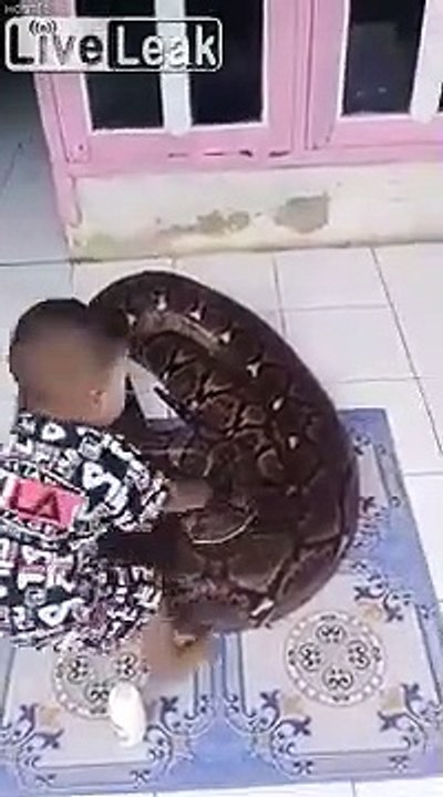Ce bébé joue avec un Python énorme... Même pas peur