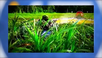 ELN se fortalece aprovechando el cese al fuego