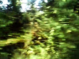 The crowning of Belphebe medius instrumental