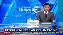 Klaten Geger, Ribuan Cacing Muncul dari Tanah Setiap Pagi