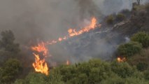 Al menos 34 personas murieron en incendios forestales en el noreste de Argelia