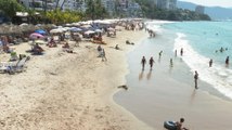 Cofepris determinará si playas de Vallarta son aptas este verano