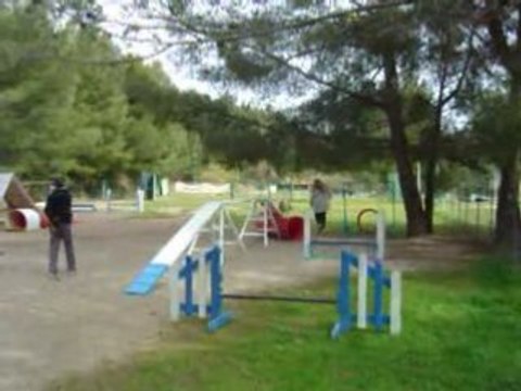 2008 03 26 entraînement agility 001