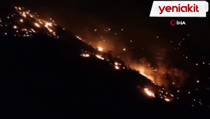 Ciğerlerimiz yanıyor! Görüntüler endişe verici