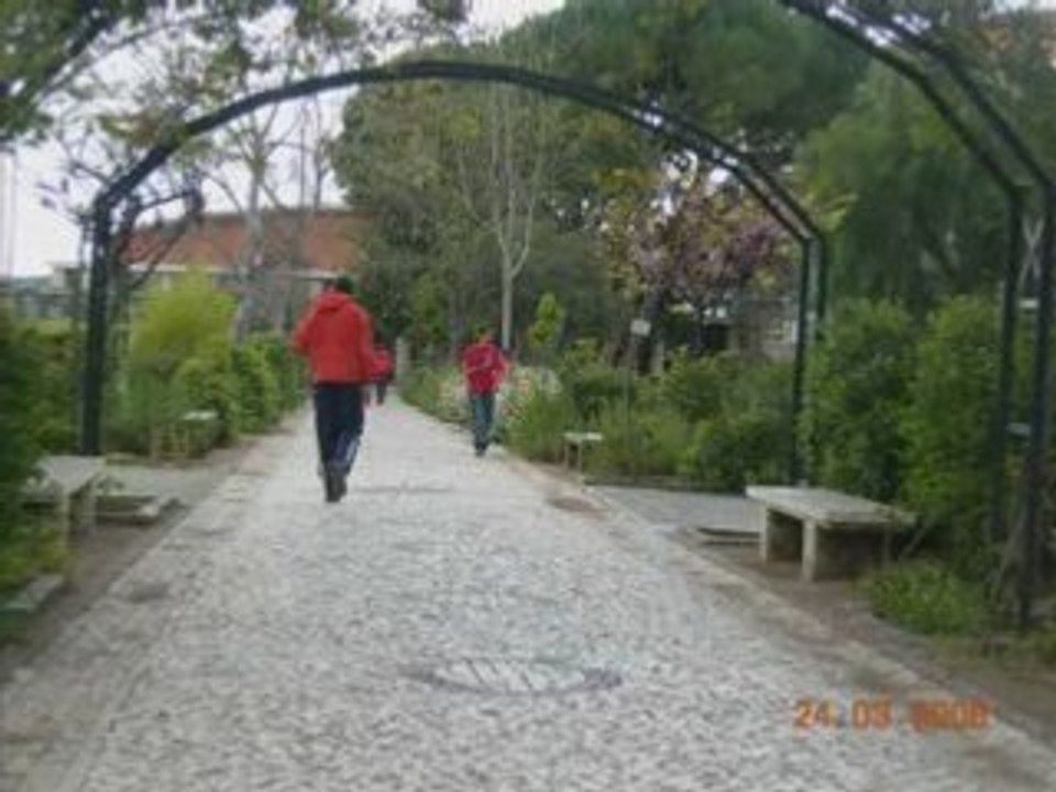 Courir
