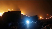 Palermo, brucia nella notte il costone della riserva di Capo Gallo