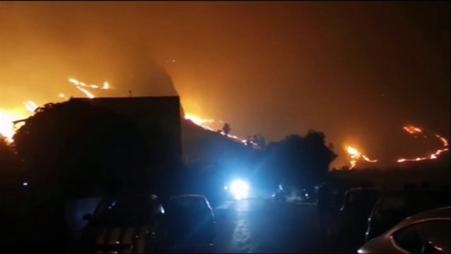 Palermo, brucia nella notte il costone della riserva di Capo Gallo