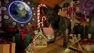 Le père Noël a volé notre chien Bande-annonce (EN)