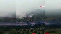 Turizm merkezi Kemer'deki orman yangınına havadan müdahale başladı