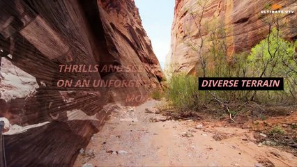 Thrills and Scenic Views Embark on an Unforgettable UTV Tour in Moab, UT