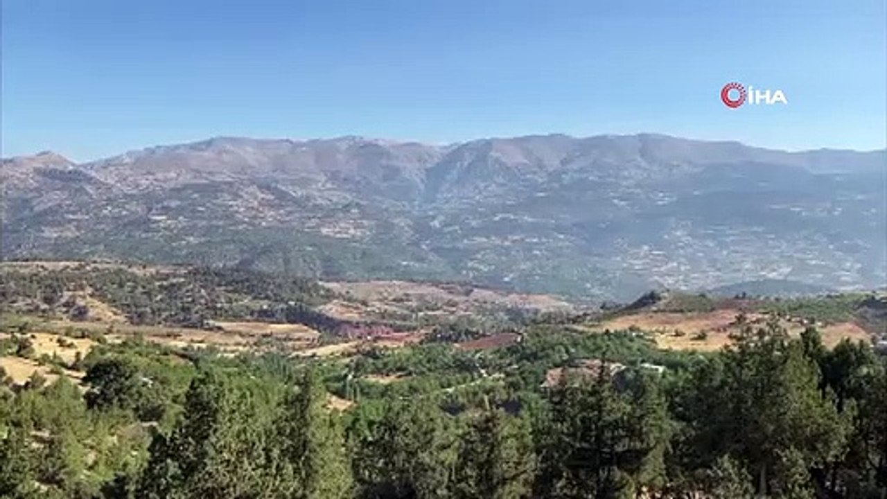 Le feu de forêt à Kahramanmaraş a été éteint
