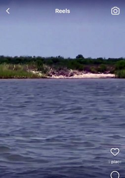 Avvistato delfino rosa