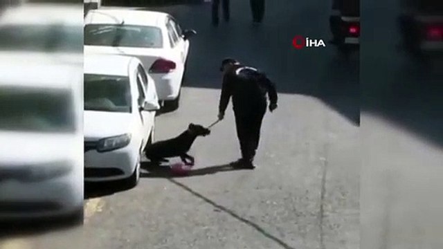 Beşiktaş'ta köpeği tekme ve tokat darp eden şüpheliye 3 yıla kadar hapis talebi