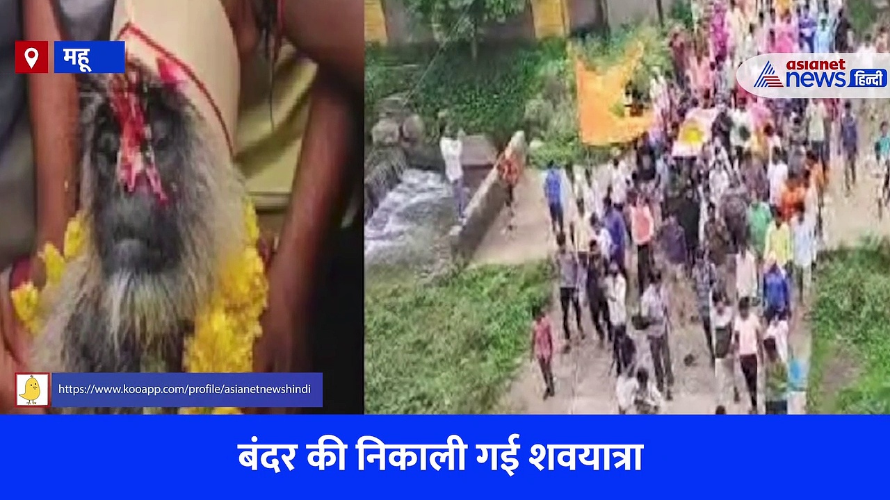 अनोखी शवयात्रा: हिंदू रीति रिवाज से हुई बंदर की अंतिम विदाई, उमड़ा पूरा गांव