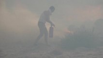 Los incendios dejan 34 muertos en Argelia