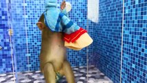 Monkey Baby Bon Bathing In The Bathroom With Eating Watermelon With Ducklings Side Swimming Pool