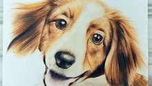 웰시 스프링어 스패니얼 강아지 그리기 (Welsh Springer Spaniel Puppy Painting)