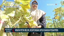 Wisata Petik Melon, Solusi Ponpes Dapatkan Dana untuk Pembangunan dan Pengelolaan Ponpes