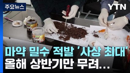 올해 상반기 마약 밀수 적발량 '사상 최대' / YTN