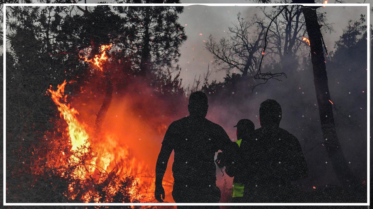 Dutzende Tote bei Waldbränden in Algerien