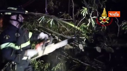 Maltempo in Friuli, le immagini degli alberi caduti a Gorizia