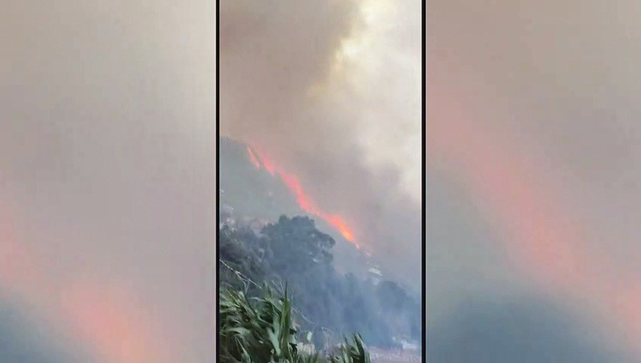 عشرات القتلى بينهم 10 عسكريين جراء حرائق عنيفة في الجزائر