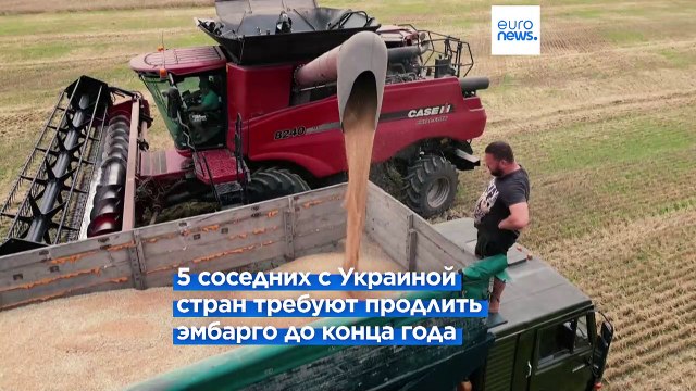 Зеленский: продление ограничений на экспорт украинского зерна неприемлемо