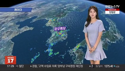 Download Video: [날씨] 내일 오전까지 수도권 80㎜ 이상 '비'…전국 무더위