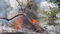 Çorlu'da ağaçlık alan ve anız yangını