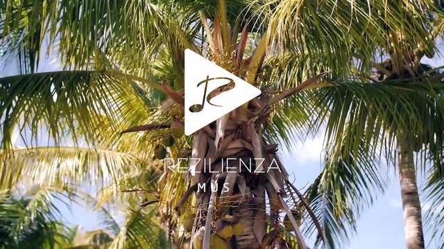 Housenick - Take My Hand (Original Mix) - Rezelienza x Julfa Rinanda