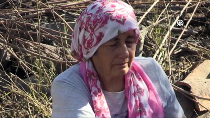 Manisa'daki Orman Yangınına İkinci Günde de Havadan ve Karadan Müdahale Ediliyor!