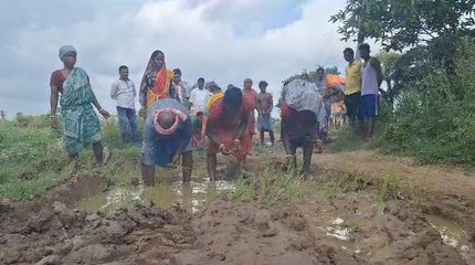 রাস্তা নাকি পাঁকের ডোবা! গাছ পুঁতে আন্দোলনে গ্রামবাসী