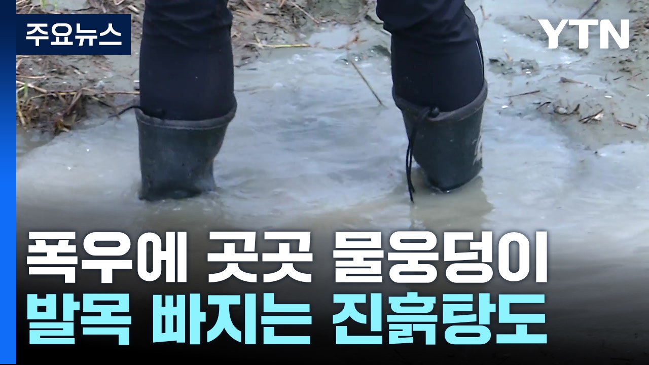 3대 변수 폭우·폭염·태풍...일주일 남은 새만금잼버리 "아직도 준비 중?" / YTN