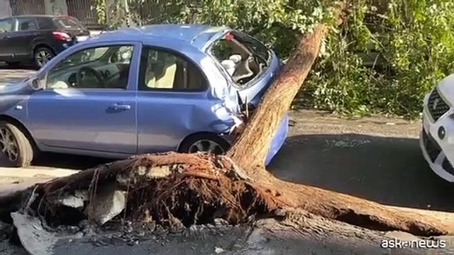 Nubifragio a Milano e provincia: alberi caduti e tetti scoperchiati