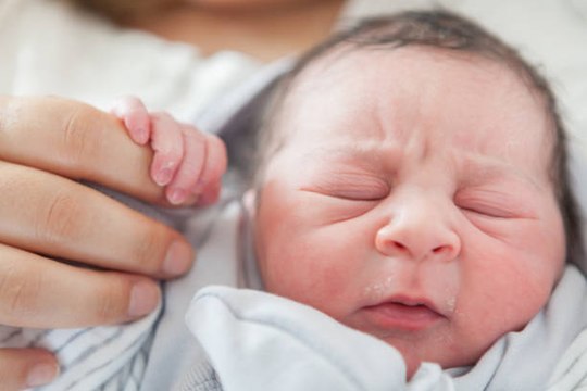 Tener Hijos Es Más Perjudicial Para El Medio Ambiente Que Tener Coche