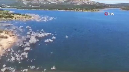 Jandarmadan boğulma olaylarına karşılık dronlu denetim