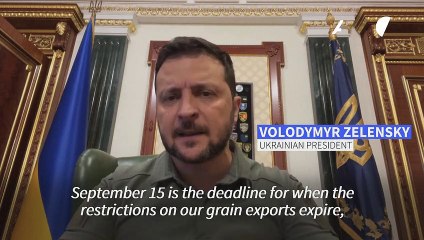 Zelensky: any extension of EU ban on Ukraine grain imports 'unacceptable'