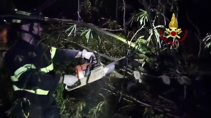 Maltempo in Friuli, grandine e vento danneggiano case e auto (25.07.23)