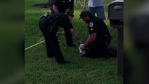 5ft alligator roaming residential area in Florida wrangled by police