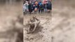 Hilarious festival-goers slide in the mud after torrential downpour at Sheffield Tramlines Festival