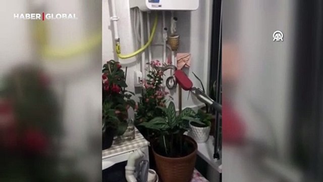 Ordu'da piknik yapan ailenin çantasından çıkan yılan dehşete düşürdü!