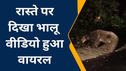 पीलीभीत: सड़क पर भालू की चहलकदमी का वीडियो सोशल मीडिया पर वायरल