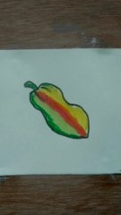 How to draw Papaya fruit