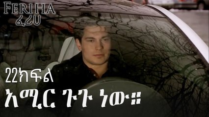 አሚር ጉጉ ነው። - ፈሪሀ ክፍል 22