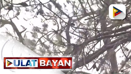 Signal No. 3, itinaas na sa lalawigan ng Apayao at northeastern portion ng Kalinga
