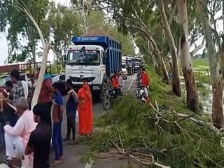 Download Video: कोटा दौसा मेगा स्टेट हाइवे पर गिरा पेड़, दो घंटे रहा यातायात बाधित-video