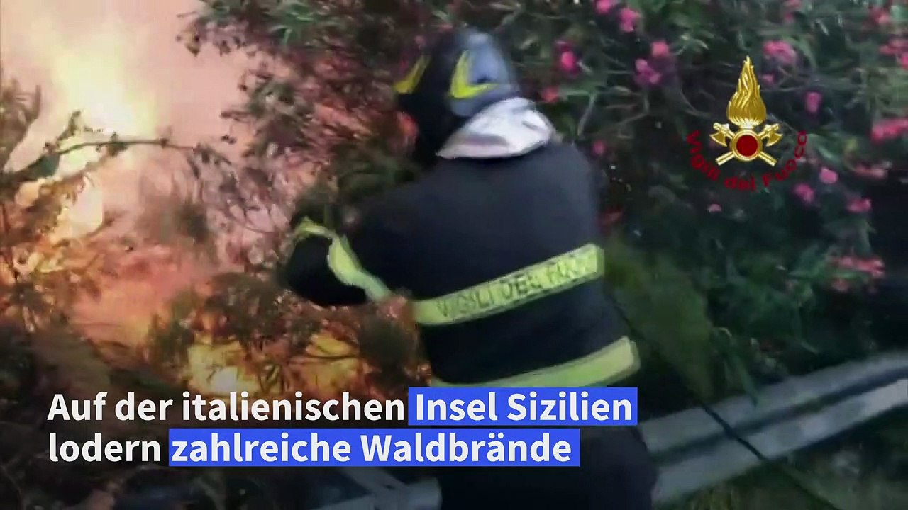 Kampf gegen Waldbrände auf Sizilien - 47,6 Grad in Catania gemessen